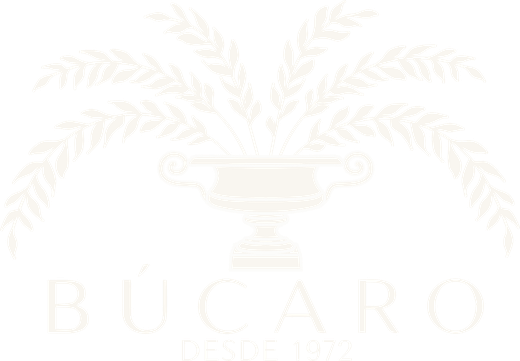 Búcaro, desde 1972